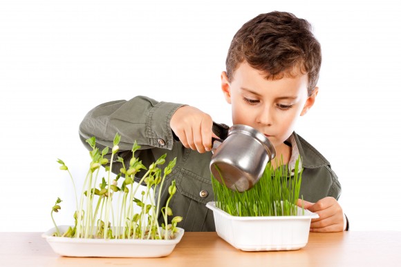 Close-up portrait of a cute kid at a practical biology lesson